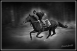 Florent Perville Photographe sportif equestre