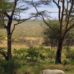 Safari photo Kenya Florent Perville